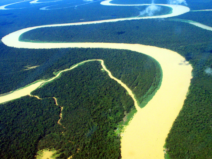 Floresta Amazonica2