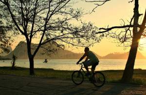 3818264520_046512642d_z