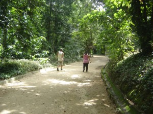 o-horto-botanico-de-niteroi-6-2