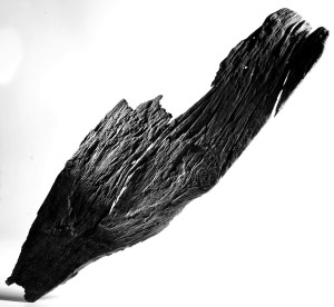 Exposição  Seco de André Sodré2
