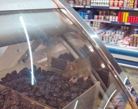 11949411_971512176204554_7671832275377264108_n