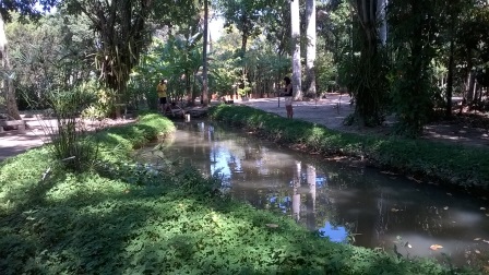 Horto de Itaipu - Foto Axel Grael 8