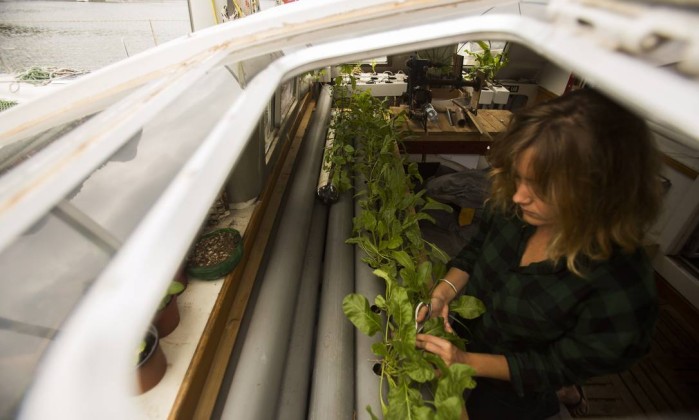 infochpdpict000061725413