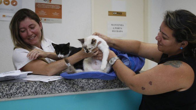 castracao-horto-fonseca