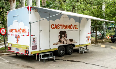 Castramovel