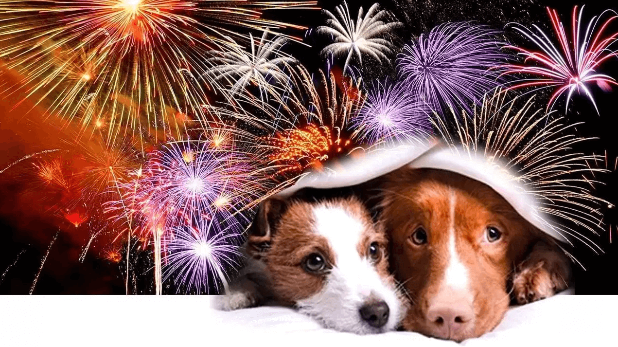 Captura de Tela 2021-12-01 às 17.03.50