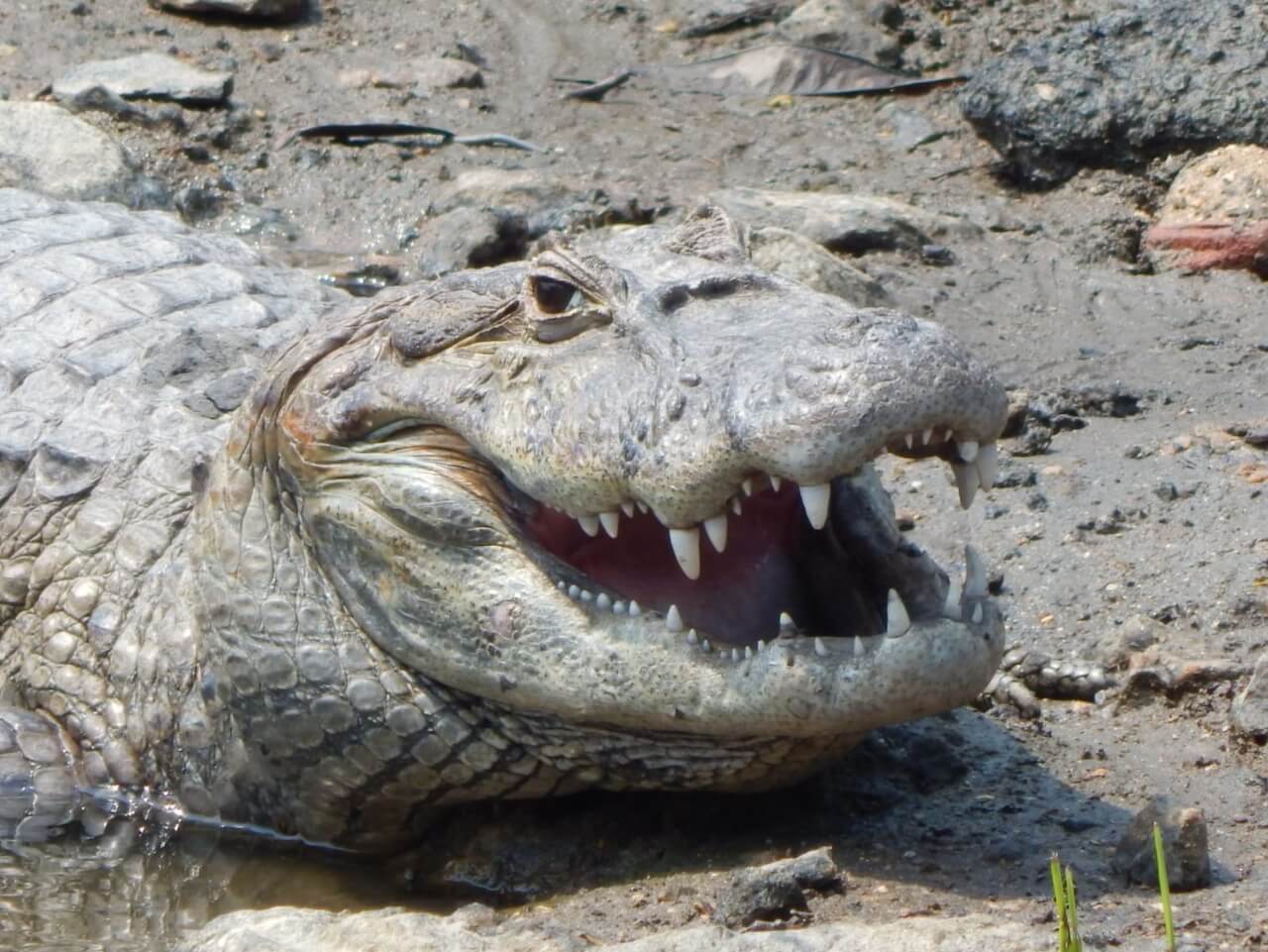 WhatsApp Image 2022-02-11 at 12.45.03 (1)