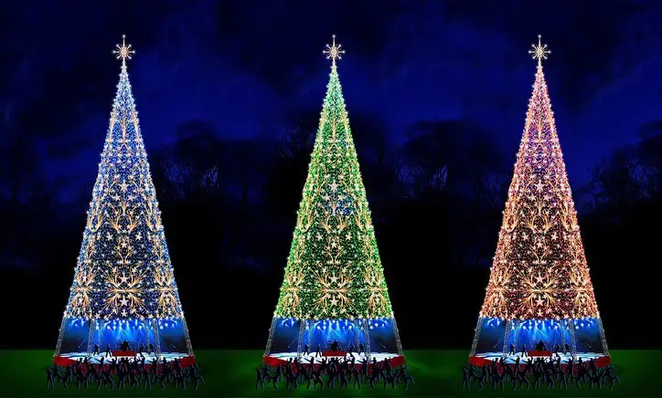 Árvore de Natal em São Francisco será inaugurada no dia 1º de dezembro -  Guia de Niterói