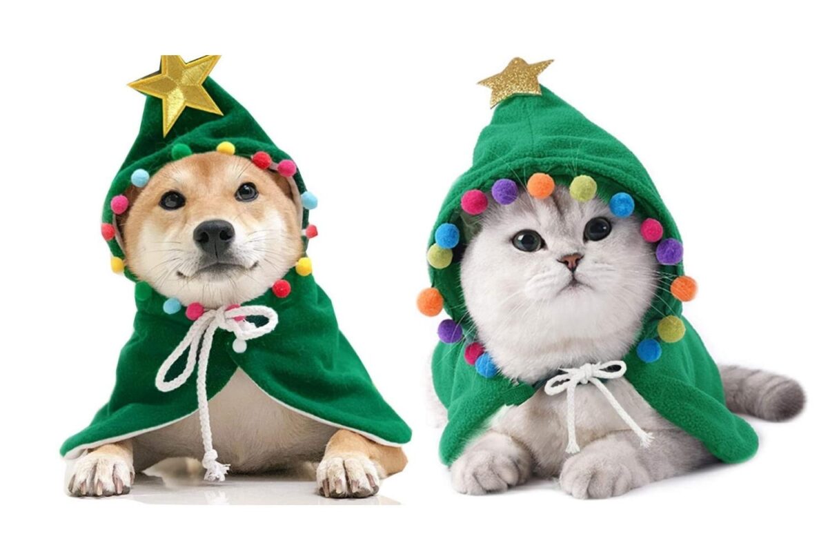 christmas-pet-costumes-amazon1