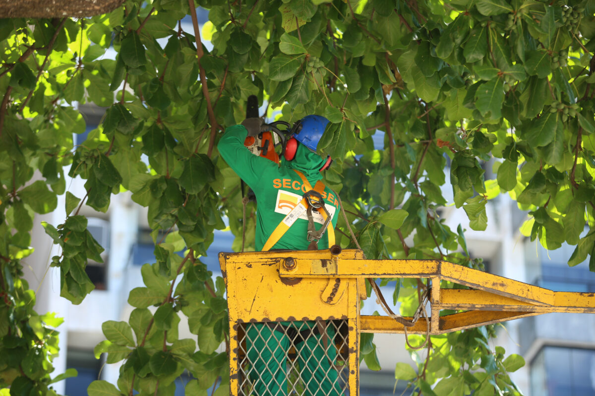 SECONSER - Poda de arvores Icarai - Barreto-2