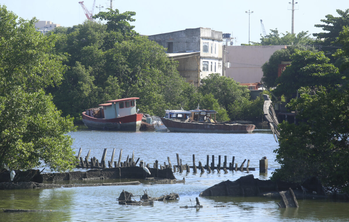 Captura de Tela 2024-03-15 às 12.11.16