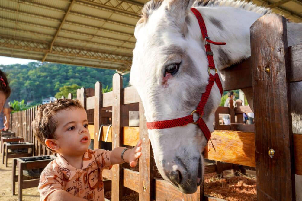 WhatsApp Image 2025-08-04 at 08.57.58