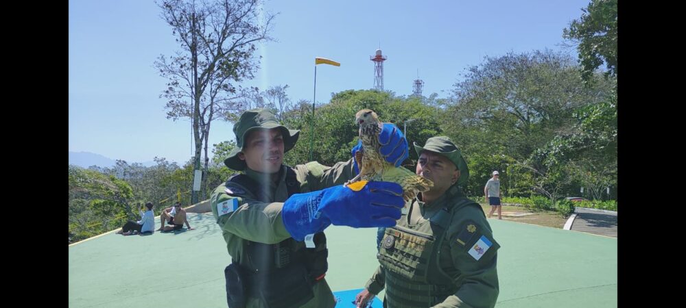Imagem 1 (1)