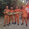 jacare-papo-amarelo-niteroi