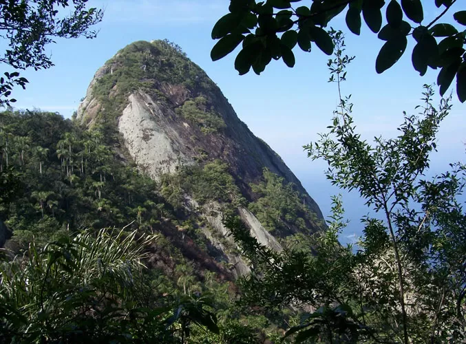 parquetiririca_f_002