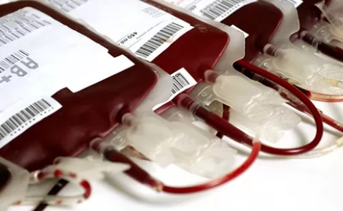 doe-sangue-2
