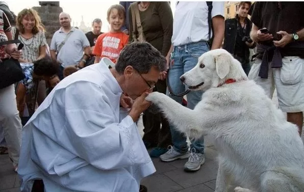 benção-dos-animais (1)