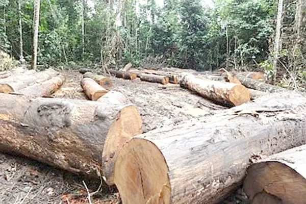 51098ac1e1c6dfbb0555c9096a6c0f8acc2b039c7eb91