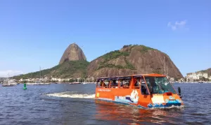 Duck_Copacabana-Baia_de_Guanabara-div-670