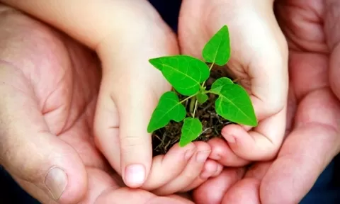 interna-ambiental2