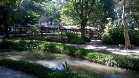 Horto de Itaipu - Foto Axel Grael 7