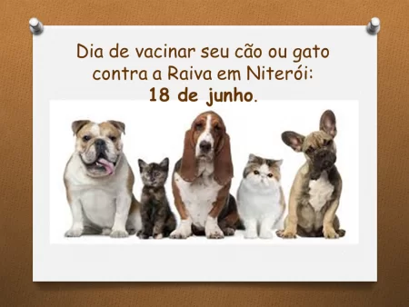 13245282_1028808773870938_8482498772238661752_n