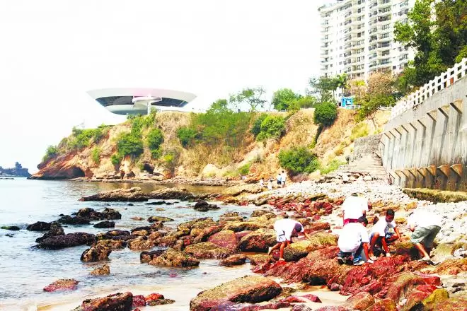 Flechas - d1fd-20x-arquivo-alcyr-ramos-praia-suja