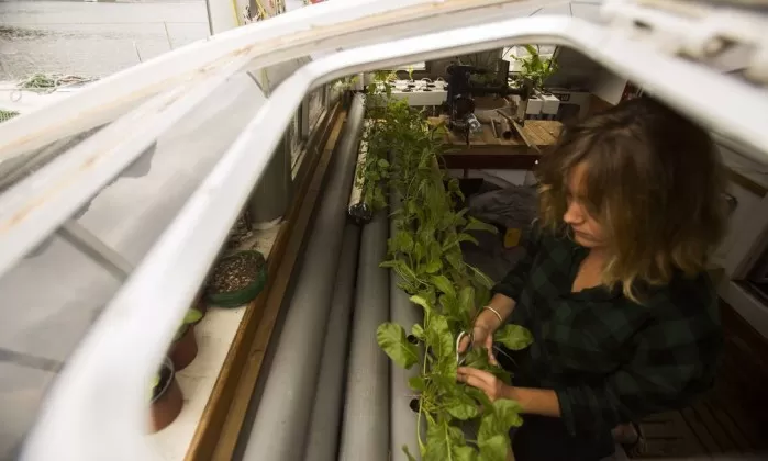 infochpdpict000061725413