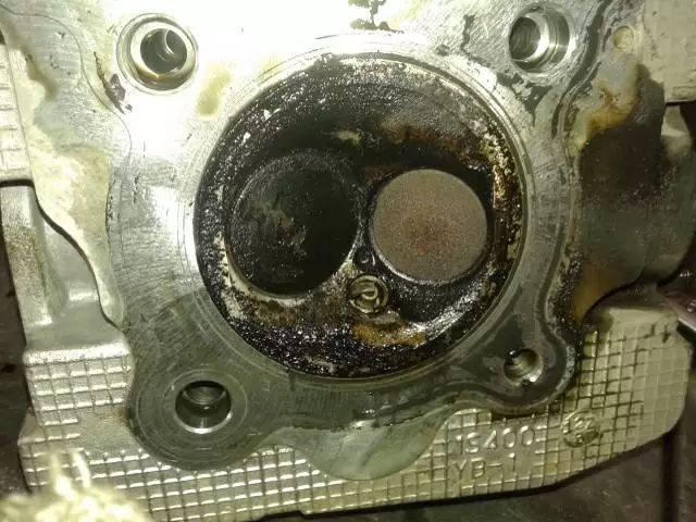 gasolina