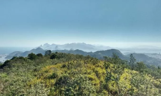 trilhamourao