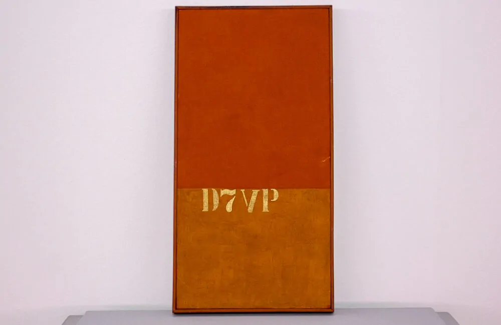 IMG_5338_crédito Leo Zulluh