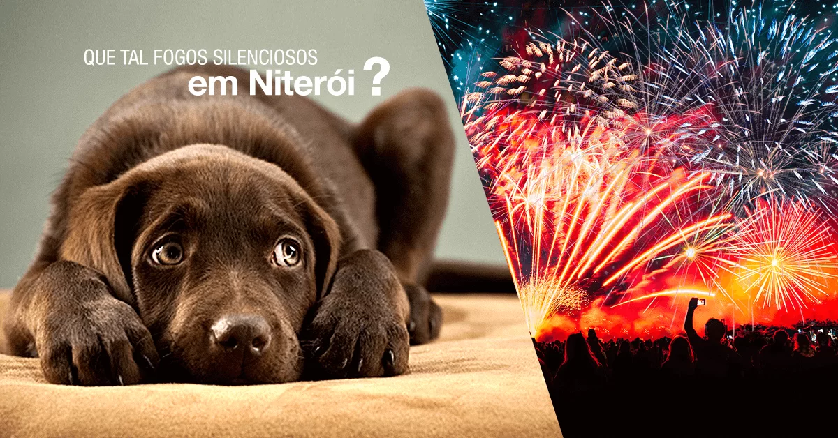 materia-fogossilenciosos