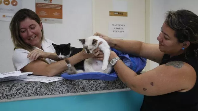 castracao-horto-fonseca