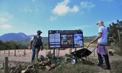 Restinga-Camboinhas-1