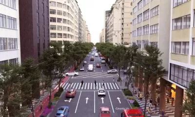 Av-Amaral-Peixoto-Verde