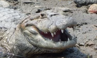 WhatsApp Image 2022-02-11 at 12.45.03 (1)