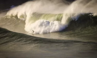 Willyam Santana Tony D'Andrea