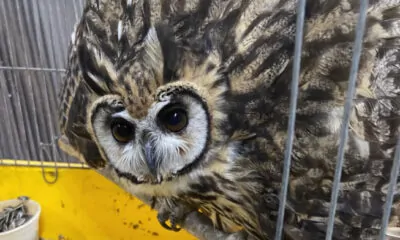 Captura de Tela 2022-10-03 às 13.03.57