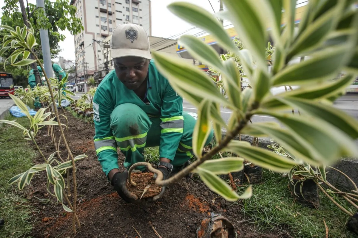 PLANTIO DE MUDAS DA SECONSER NA ALAMEDA SÃO BOAVENTURA-12