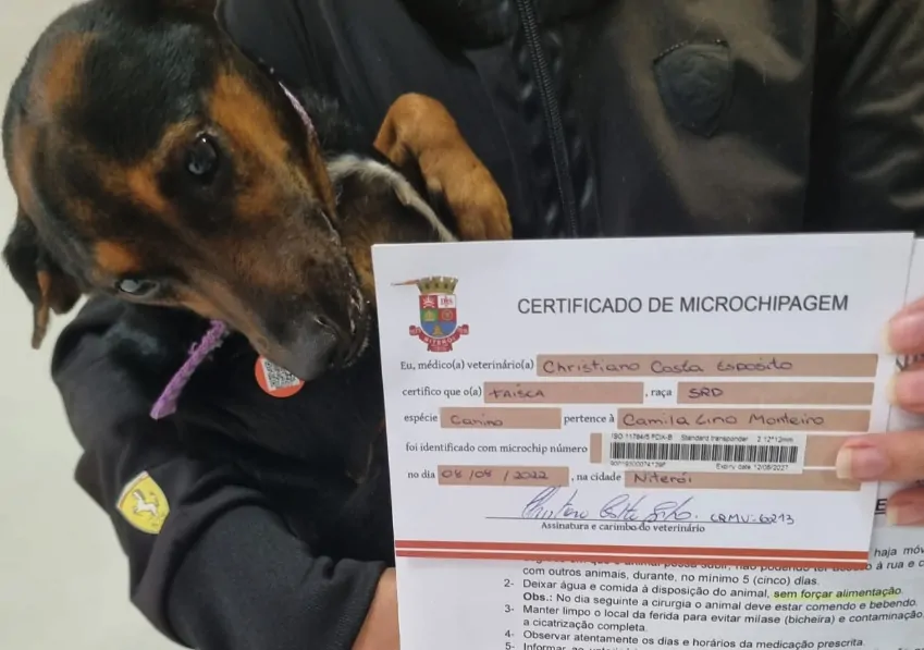 Captura de Tela 2023-01-31 às 15.33.06