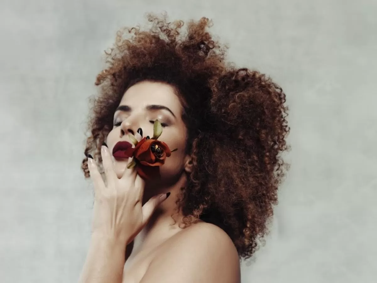 vanessa-site