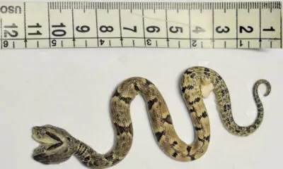 Captura de Tela 2023-04-06 às 11.39.09