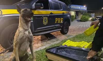 df23c397-d365-45e5-b92e-a4254561fee1