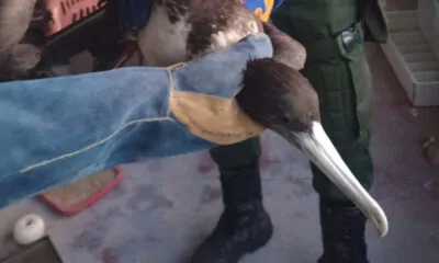 Captura de Tela 2023-08-11 às 10.26.31