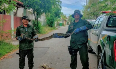 Captura de Tela 2024-01-04 às 14.55.34