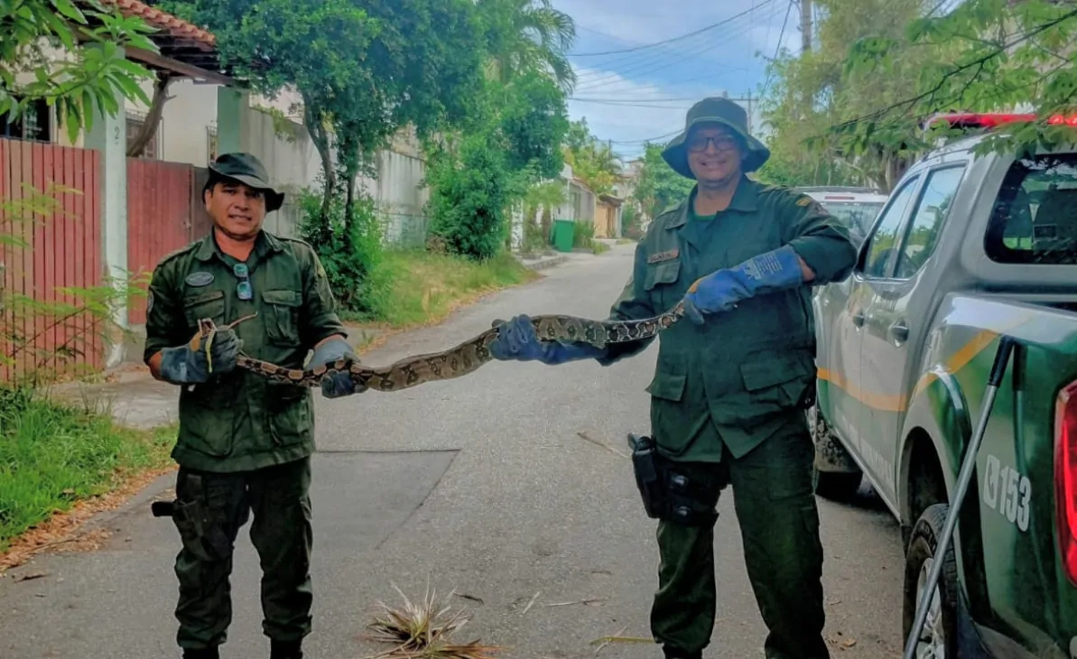 Captura de Tela 2024-01-04 às 14.55.34