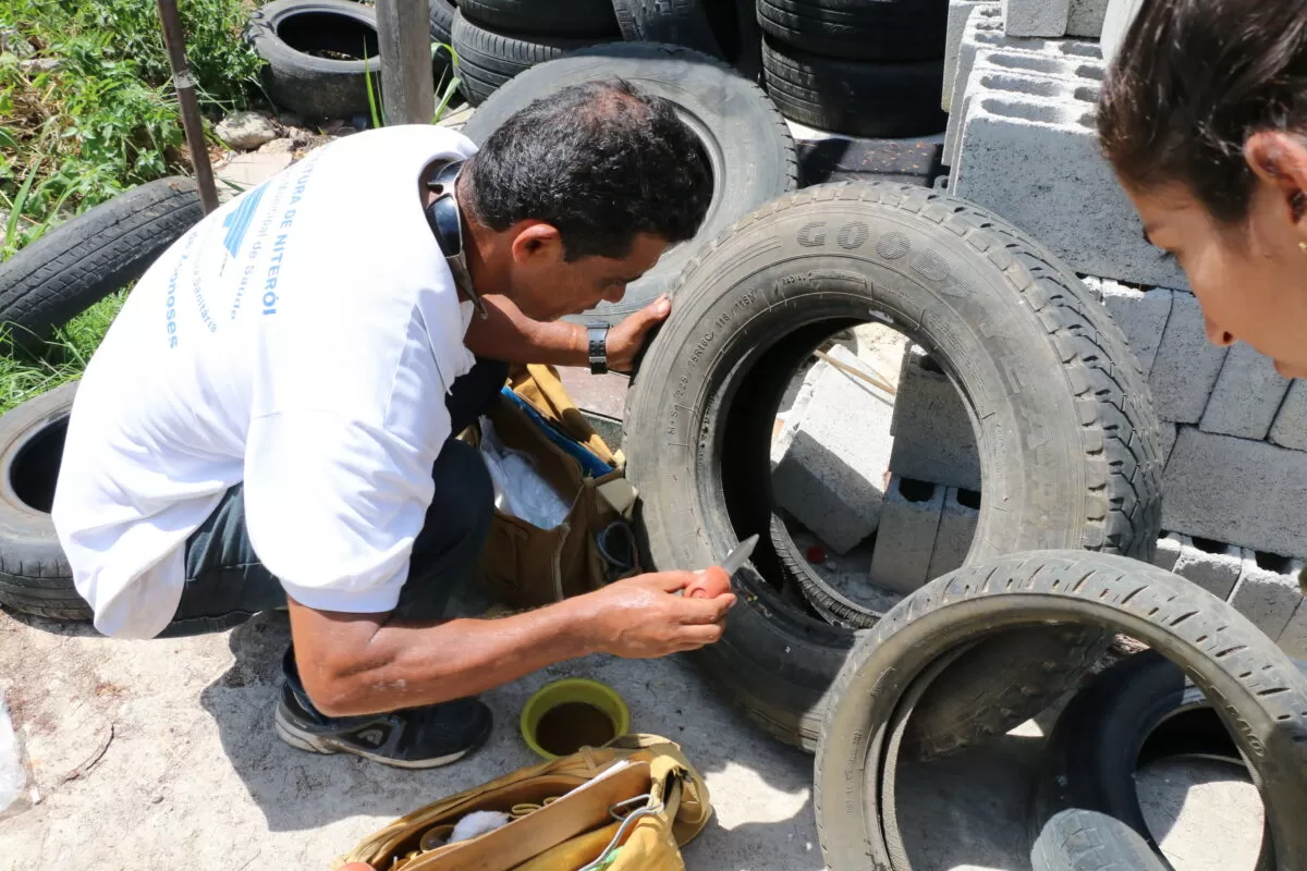 Divulgacao - Fotos CCZ (3)