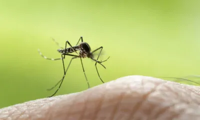 Captura de Tela 2024-02-01 às 15.04.00