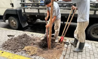 WhatsApp Image 2024-03-06 at 10.28.28 (3)