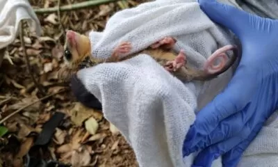 P_0004.Foto_LuFusinatto